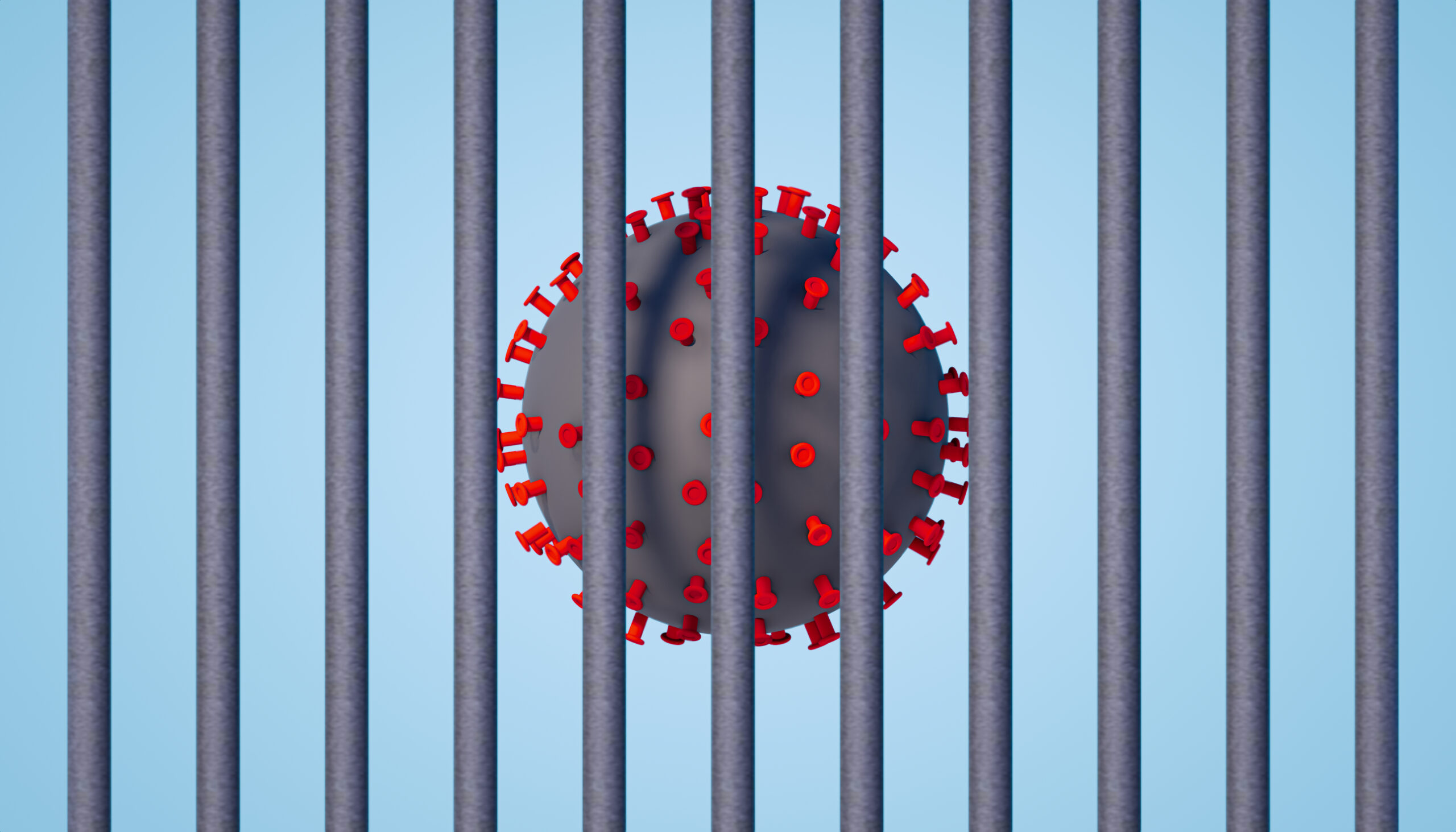 The virus in prisons: coordination and contingency plans